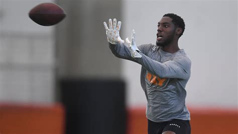 Tennessee Pro Day 2024 Results Joni Roxane