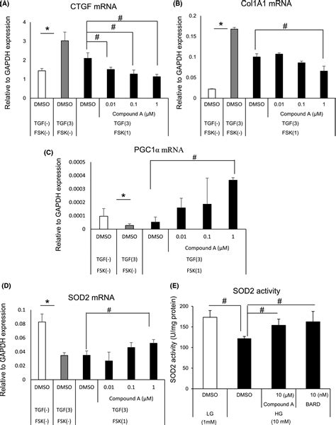 Ameliorative Effect Of Phosphodiesterase 4 And 5 Inhibitors In