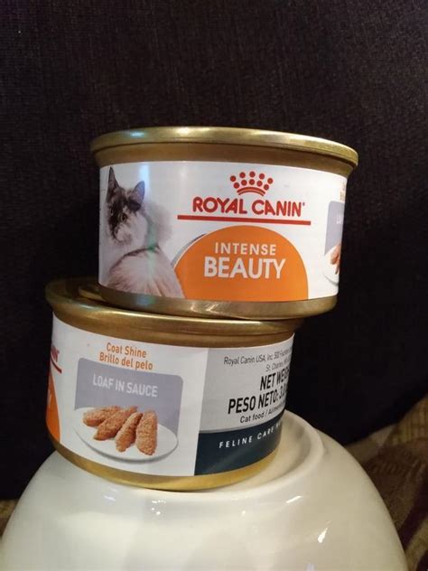 Royal Canin Feline Care Nutrition Intense Beauty Thin Slices In Gravy