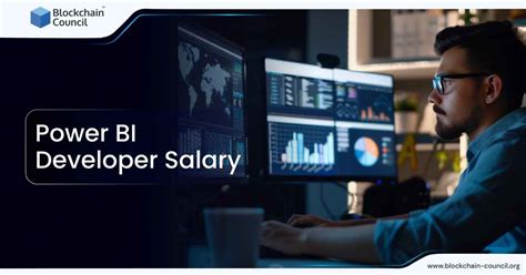 Power BI Developer Salary Blockchain Council