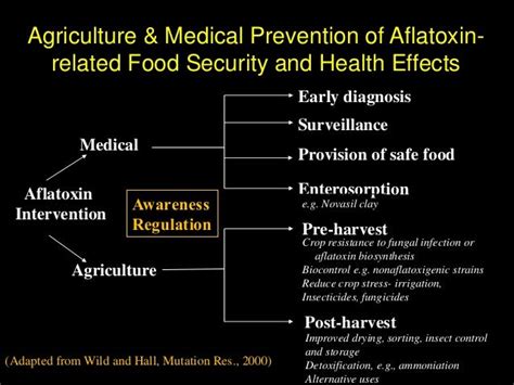 Aflatoxin Impacts And Management