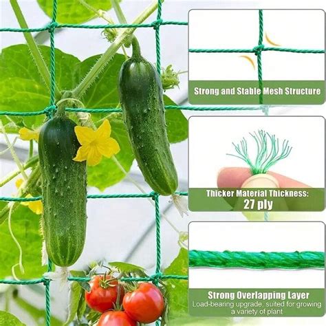 Hi Quality Nylon Garden Netting Loofah Morning Glory Flowers Vine