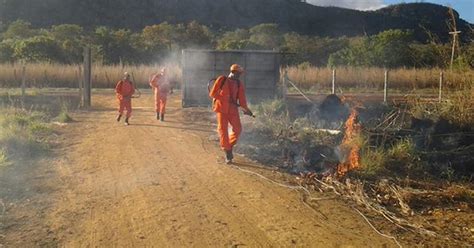 G Brigadistas Combatem Fogo Em Rea Rural De Palmas Not Cias Em