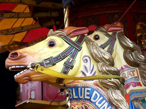 Merry-go-round horses 1 Free Photo Download | FreeImages