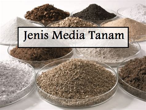 Jenis Jenis Media Tanam Organik Dan Hidroponik