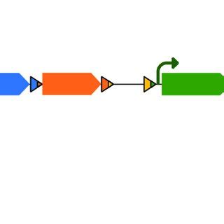 Structure and function of integrons. The typical structure of a ...