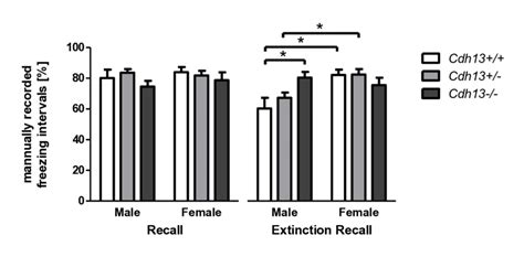 Genotype X Sex Interaction During The Extinction Recall Phase Of The