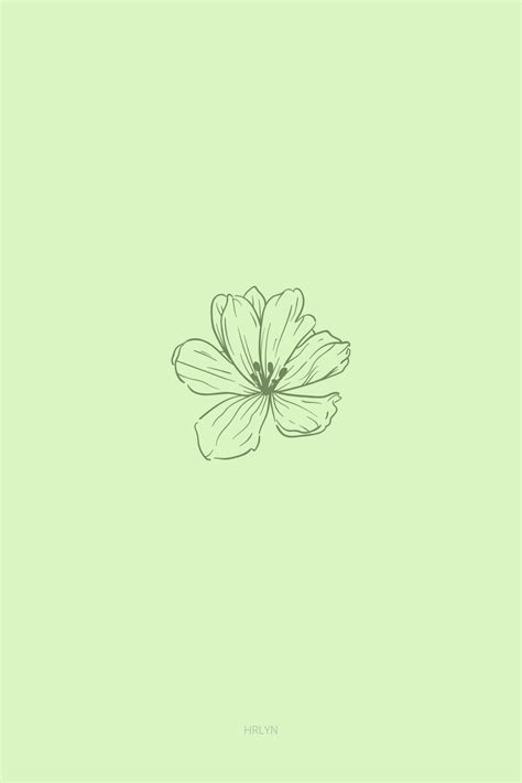 Green Minimalist Aesthetic Wallpapers - Top Free Green Minimalist ...