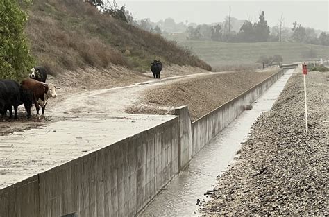 How much rain has fallen in Southern California during the storm? Here ...