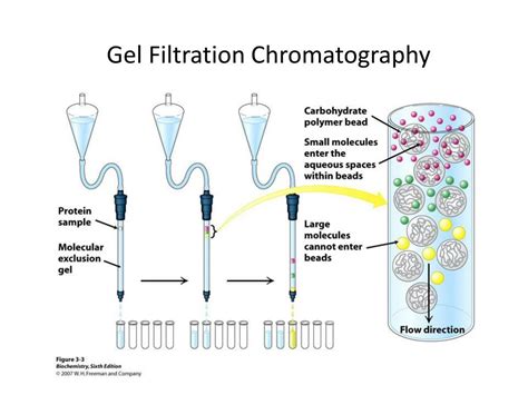 Ppt Downstream Processing In Biopharmaceutical Manufacturing