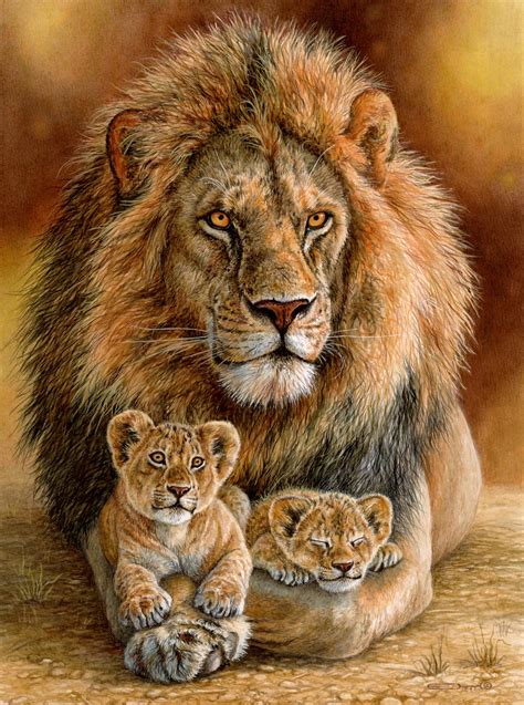 Father lion with two cubs - Esther van Hulsen