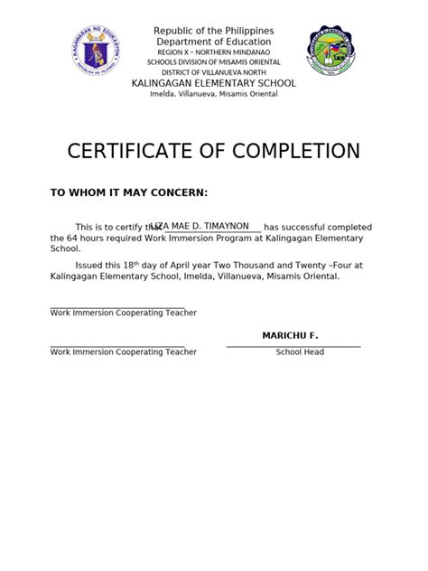 Certificate Of Completionimmersion 2024 Pdf