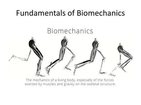 Ppt Fundamentals Of Biomechanics Powerpoint Presentation Free