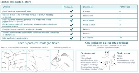 ASSISTÊNCIA DE ENFERMAGEM AO PACIENTE NÍVEL DE CONSCIÊNCIA ALTERADO