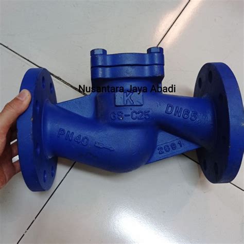 Lift Check Valve Steam Cast Iron Flange PN 40 2 1 2 Inchi DN 65 Uap