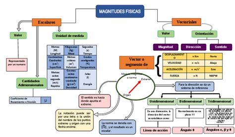 Mapa Conceptual De Magnitudes Vectoriales Donos