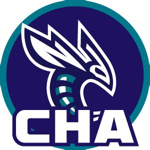 charlotte hornetsnba