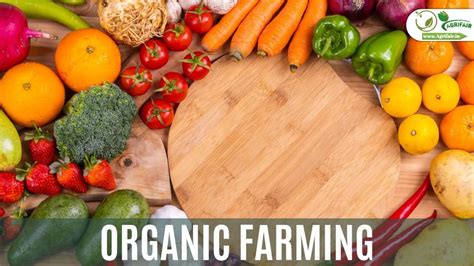 Organic Farming Embracing A Holistic Approach To Agriculture For A