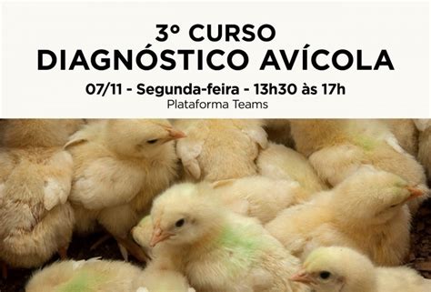 Curso gratuito de Diagnóstico Avícola está inscrições abertas