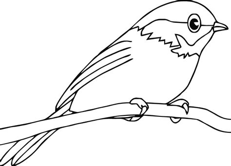 Red Robin Bird Coloring Pages - Christopher Myersa's Coloring Pages