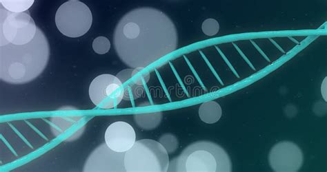 Animation Of Spots And Shapes Over Dna Strand Stock Video Video Of