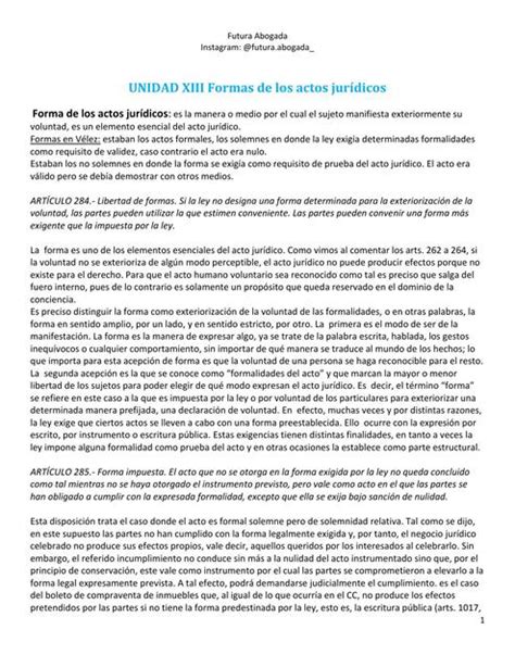 Resumen UNIDAD 13 Derecho Civil Y Comercial 1 UNLAM Futura