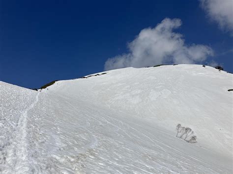 残雪の谷川岳🏔☃️ しのっちさんの谷川岳・七ツ小屋山・大源太山の活動日記 Yamap ヤマップ