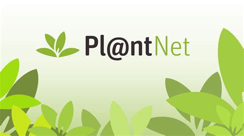 Android Apps By Plantnet On Google Play