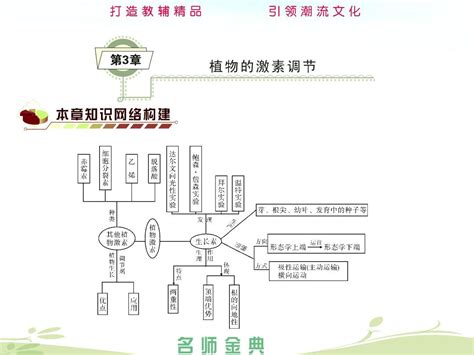 2014届高考生物人教全国通用一轮复习《必修3第3章植物的激素调节》word文档在线阅读与下载无忧文档