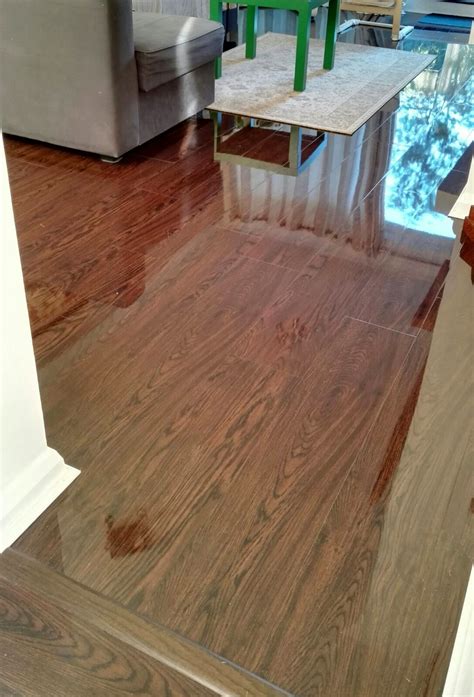 Chocolate Walnut High Gloss Laminate Flooring Floorless Floors