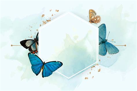 Butterflys Blank Template - Imgflip