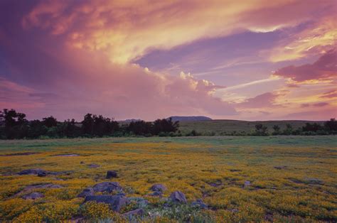 How the High Plains and West Texas State University shaped pro ...