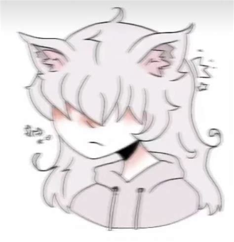 Aesthetic Catboy Pfp Matching Pfp In 2021 Giblrisbox Wallpaper