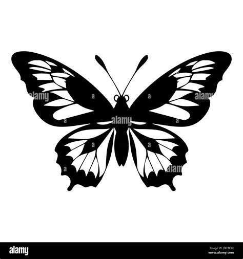 Butterfly Silhouette In Black And White Colors Vector Illustration