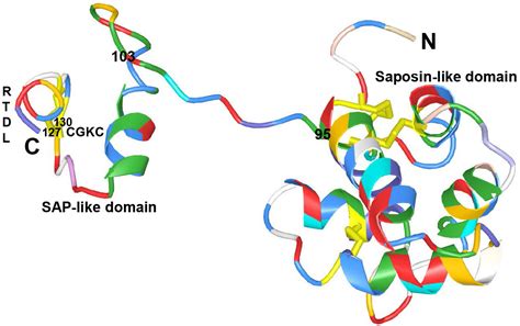 Mesencephalic Astrocyte Derived Neurotrophic Factor A Treatment Option