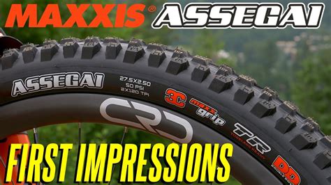 Maxxis Assegai Off