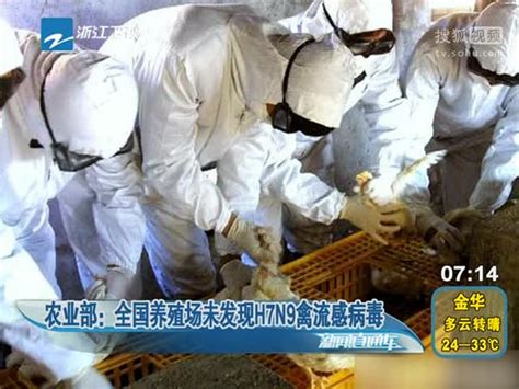 农业部：全国养殖场未发现h7n9禽流感病毒 搜狐视频