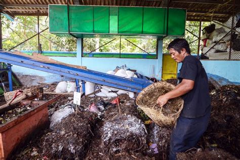 Magalarva Startup Bisnis Pengolah Sampah Yang Didanai Investor Jepang