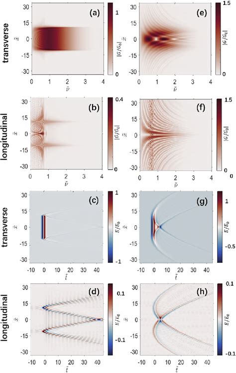 Normalized Transverse [ A C E And G ] And Longitudinal [ B Download Scientific