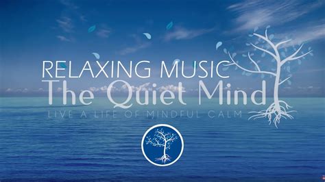 Relaxing Music for Sleep - 10 Minute Meditation Music - Sleep Music ...