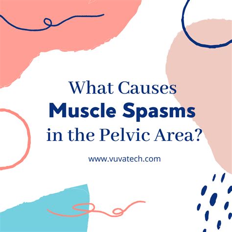 Pelvic Floor Muscle Spasm Causes - kitchencor