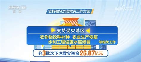 三大粮食作物完全成本保险和种植收入保险实现全国1105个产粮大县全覆盖央广网