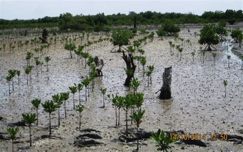 Senegal Land Degradation And Good Practices In Senegal Ai Cd