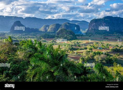 Cuba Pinar Del Rio Province Vinales Vinales National Park Vinales