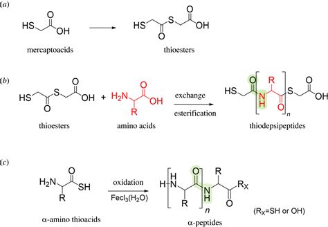 Amino Acid Analogues Provide Multiple Plausible Pathways To Prebiotic