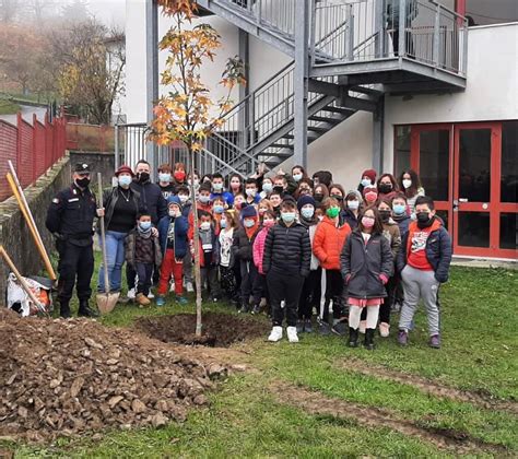 Giornata Nazionale Degli Alberi I Carabinieri Forestali E 11 Scuole