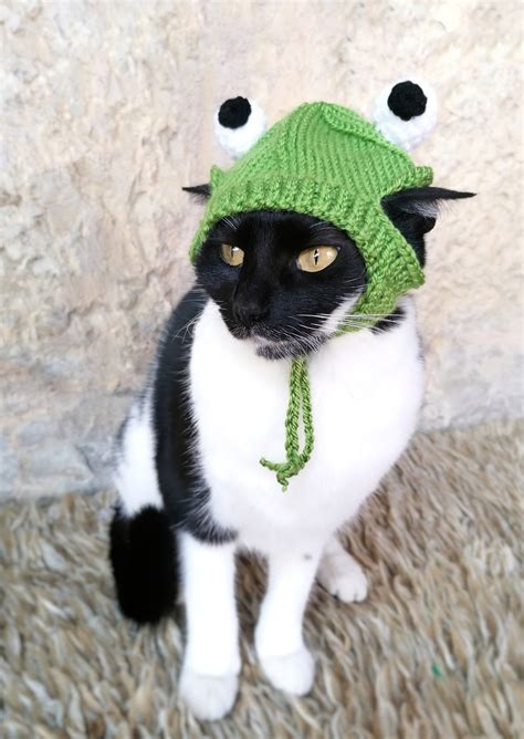 Frog Hat For Cat Ubicaciondepersonascdmxgobmx