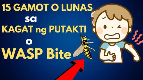 15 GAMOT O LUNAS Sa KAGAT Ng PUTAKTI Or WASP Bite First Aid O Pagunan