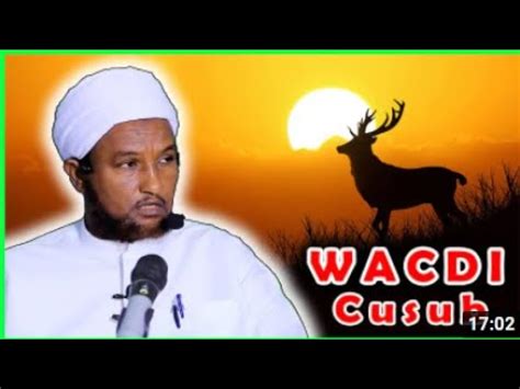 Sh Xuseen Cali Jabuuti Wacdi Cusub Oo Qalbiga Tabanaaya Iimaana Kuu