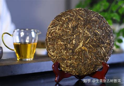 冲泡普洱茶，一定要注意这几个细节，否则好茶变劣质茶！ 知乎